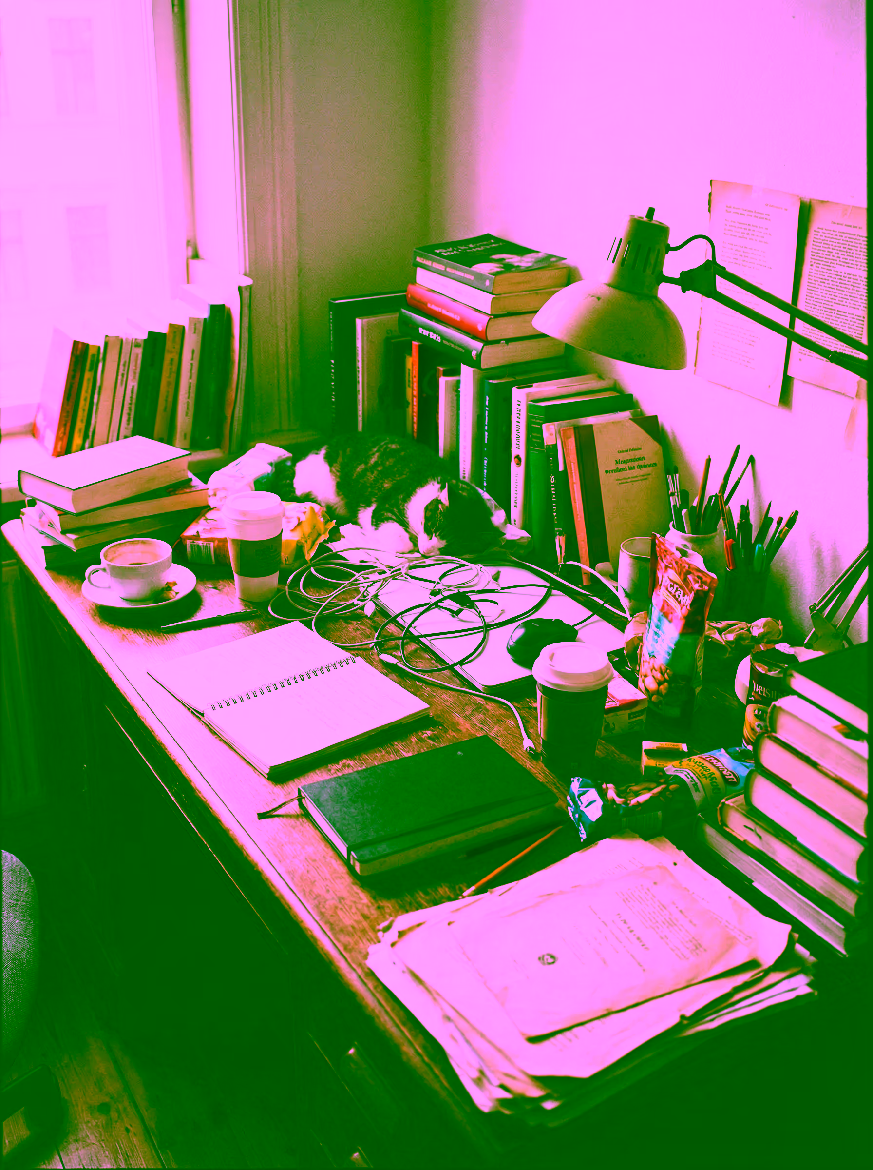 Cluttered Desktop Cleanup - Input 1